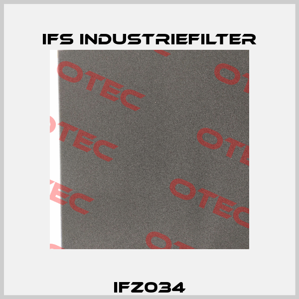 IFZ034 IFS Industriefilter