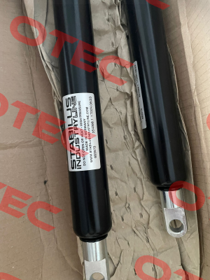 683573 Stabilus