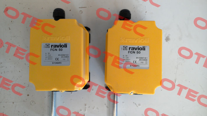 BFCN50 P2 Ravioli