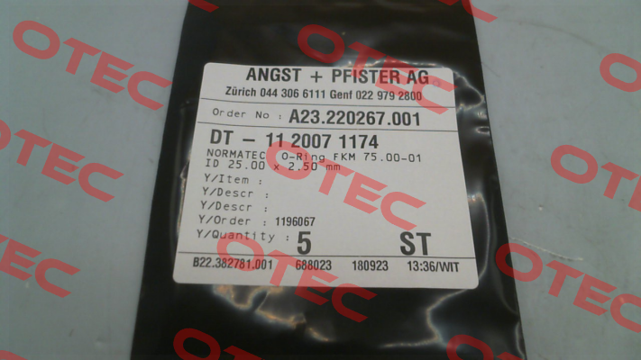 1120071174 Angst-Pfister