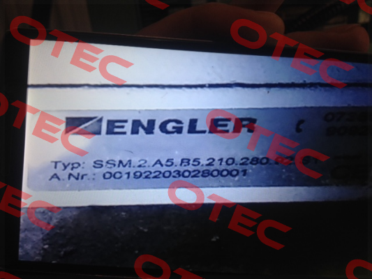 SSM.2.A5.B5.210.280.92.S1 Engler