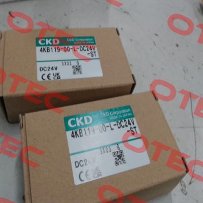 4KB119-00-L-DC24V Ckd
