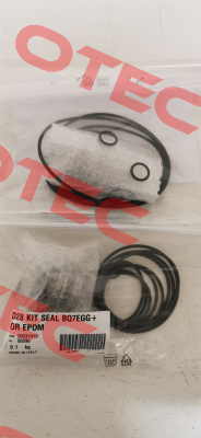 D28 BQ7EGG + OR EPDM (KL01AF7) Lowara