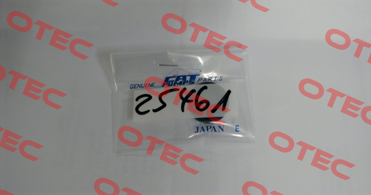 25461 - SEAL, OIL, NBR Cat Pumps